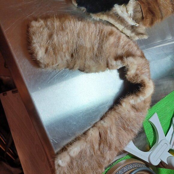 Box of FUR - pieces & scraps - Picture 6 of 13